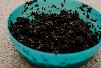 акклиматизация танжирса